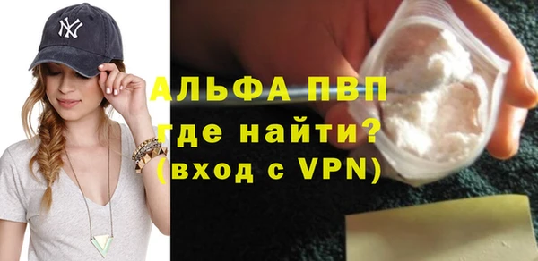 хмурый Новозыбков