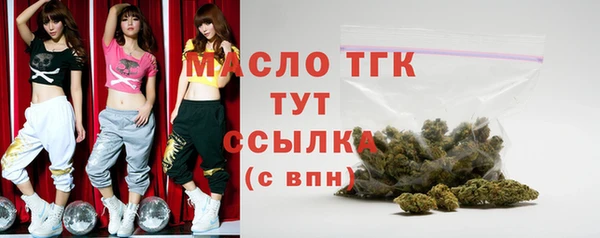 хмурый Новозыбков