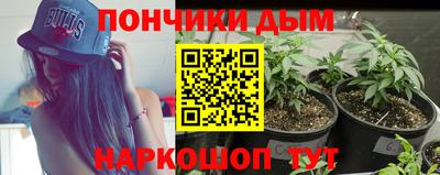 трава Бийск