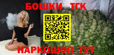 шишки Изобильный