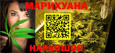 шишки Изобильный