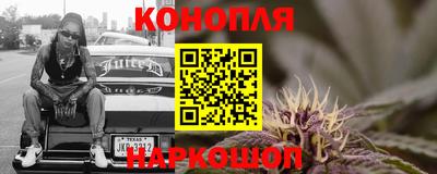 шишки Изобильный