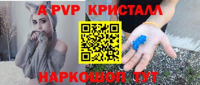 шишки Изобильный