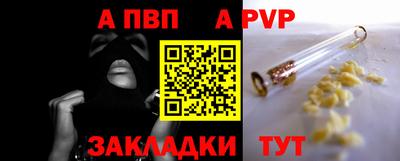 шишки Изобильный