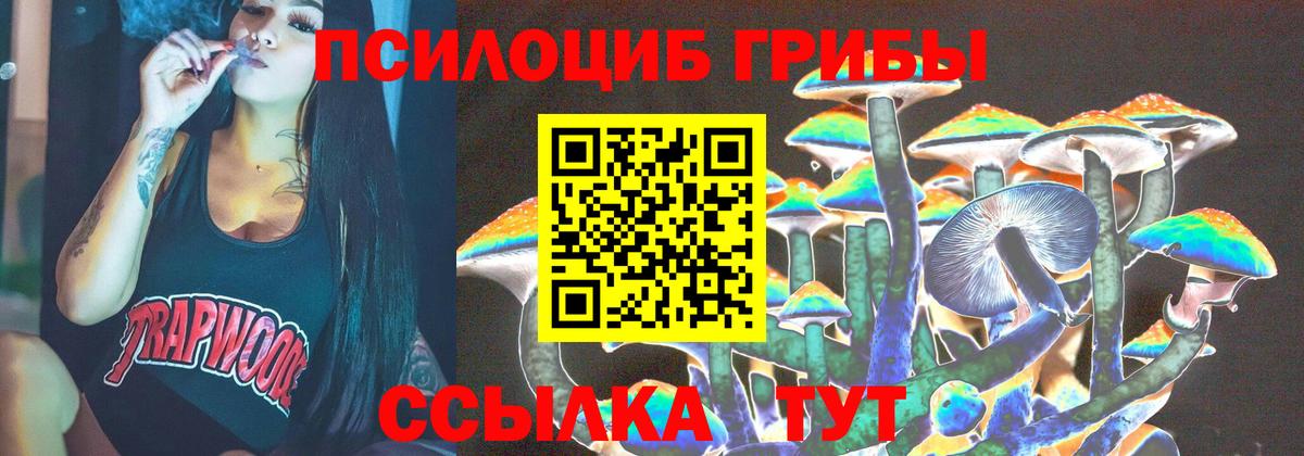 Псилоцибиновые грибы Cubensis  Псилоцибиновые грибы прущие грибы  Кунгур 