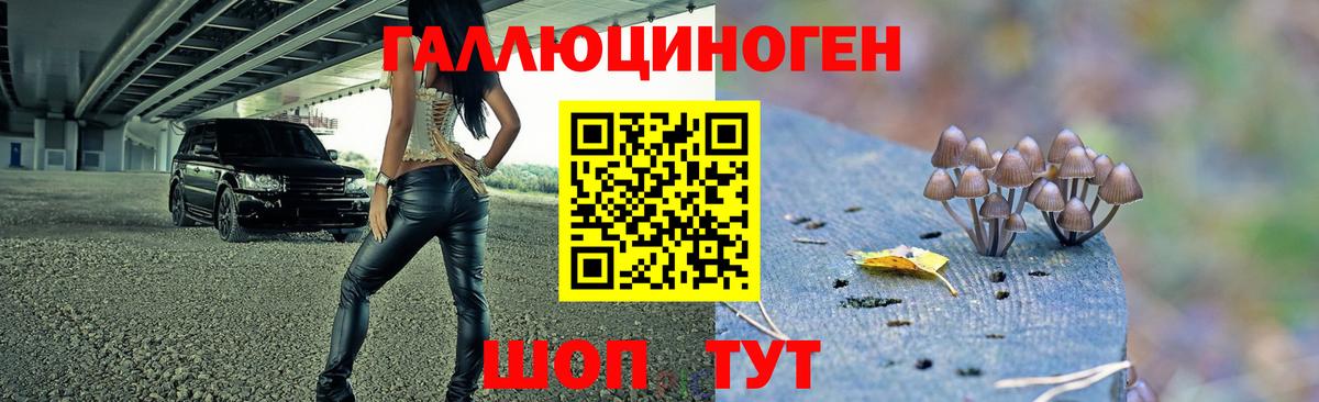 Кетамин  МАРИХУАНА  Мефедрон кристаллы  ГАШ  Меф МЯУ МЯУ кристаллы  АМФ кристаллы  ГАШИШ  Наркошоп  APVP СОЛЬ   NBOMe  Метамфетамин  Кунгур  COCAIN 