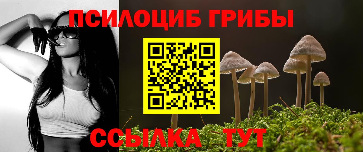 Псилоцибиновые грибы мицелий  Псилоцибиновые грибы Psilocybine cubensis  Кунгур  Вход с VPN 