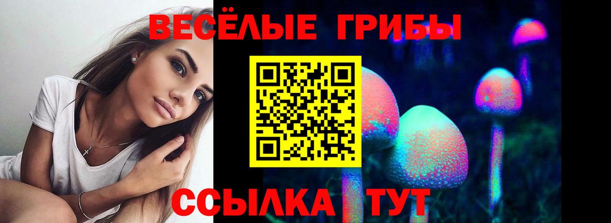 Галлюциногенные грибы прущие грибы Кунгур