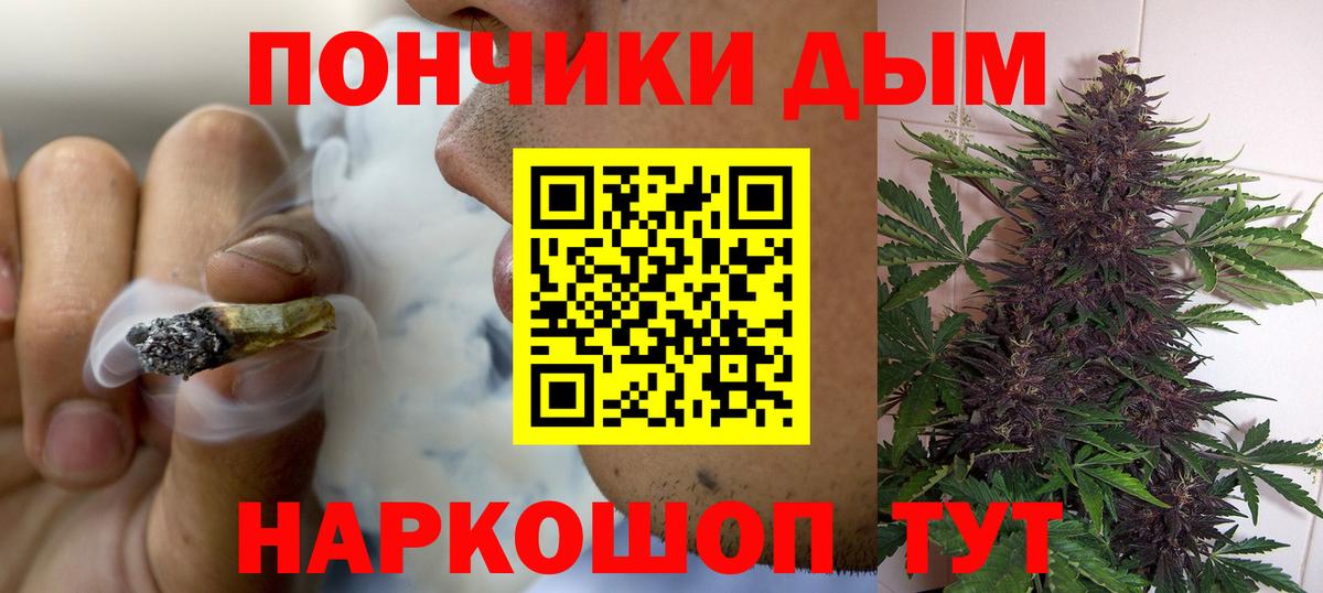 Бошки Шишки планчик Кунгур